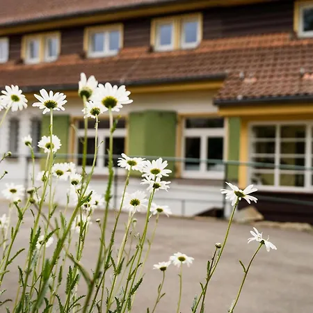 Pension zum Hexenstieg-2